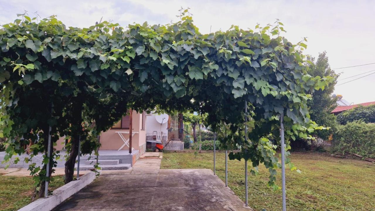Villa Panorama Asprovalta Exterior photo